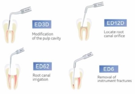 WoodPecker DTE D600 LED Piezo Ultrasonic Scaler Tips