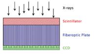 Bio Ray SDX digital Sensor specs