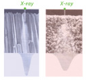 bioRay SDX digital Sensor Picuture