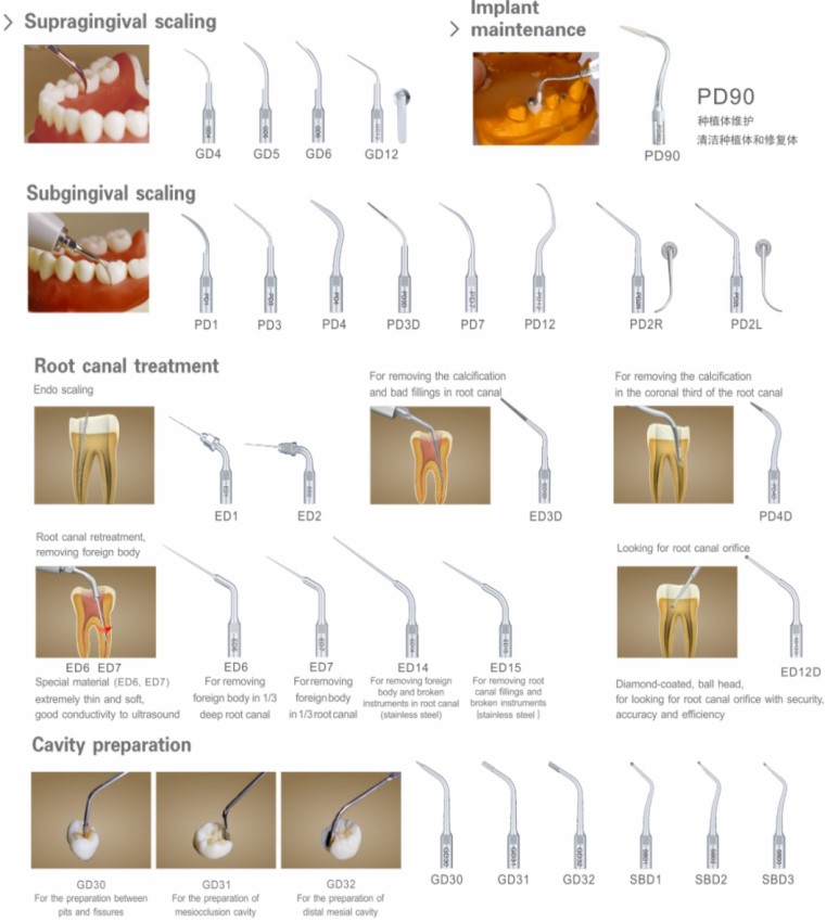 WoodPecker DTE D7 LED Piezo Scaler Unit Tips