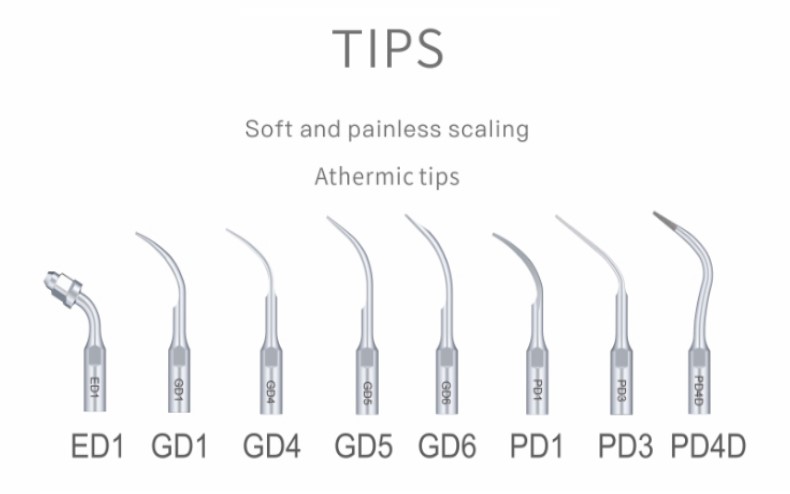 WoodPecker DTE D7 LED Piezo Scaler Unit Tips