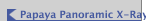 Papaya Panoramic X-Ray Machine