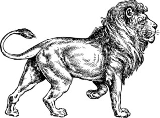 Lions Dental Supply and Equipment